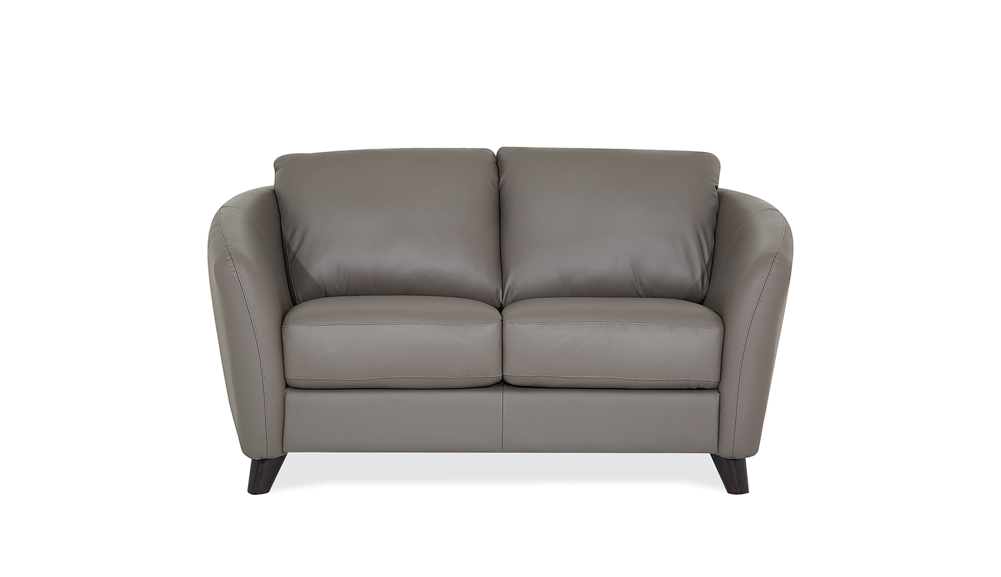 Alula Leather/Fabric Loveseat
