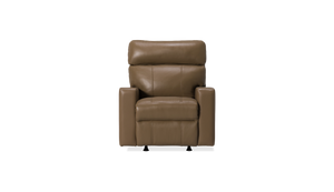 Oakwood Leather/Fabric Recliner