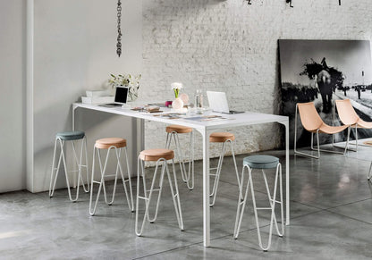 Apelle Jump Stool
