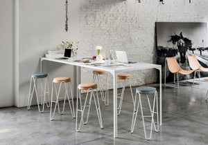 Apelle Jump Stool